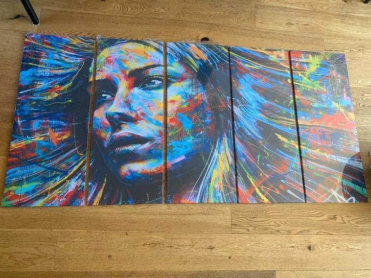 Kleurrijk 5-Delig Schilderij op Canvas – Portret Vrouw, Antiek en Kunst, Kunst | Schilderijen | Modern, Ophalen of Verzenden