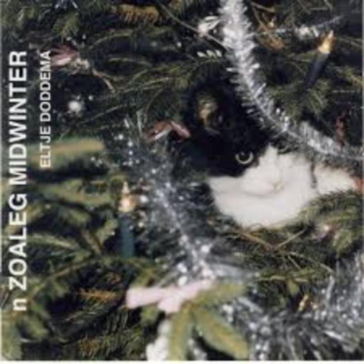 Eltje Doddema - n zoaleg midwinter - groningen dialect, Cd's en Dvd's, Cd's | Nederlandstalig, Zo goed als nieuw, Streekmuziek