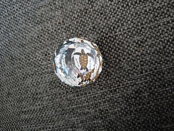 Swarovski presse papier wonders of the sea eternity  beschikbaar voor biedingen