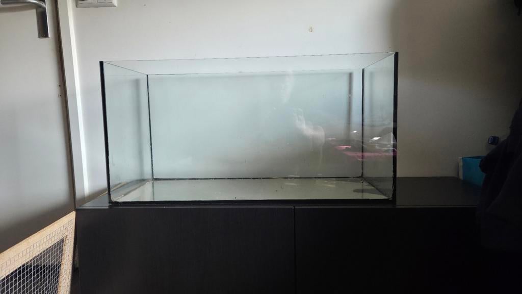 Terrarium, Dieren en Toebehoren, Ophalen of Verzenden