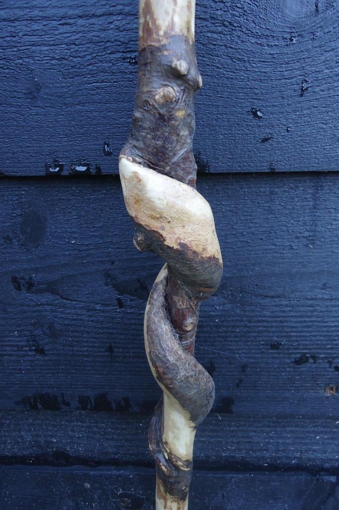 G.O.A - Camino WANDELSTOK - bush badine stok - Nieuw ( 16 ), Ophalen of Verzenden, Nieuw