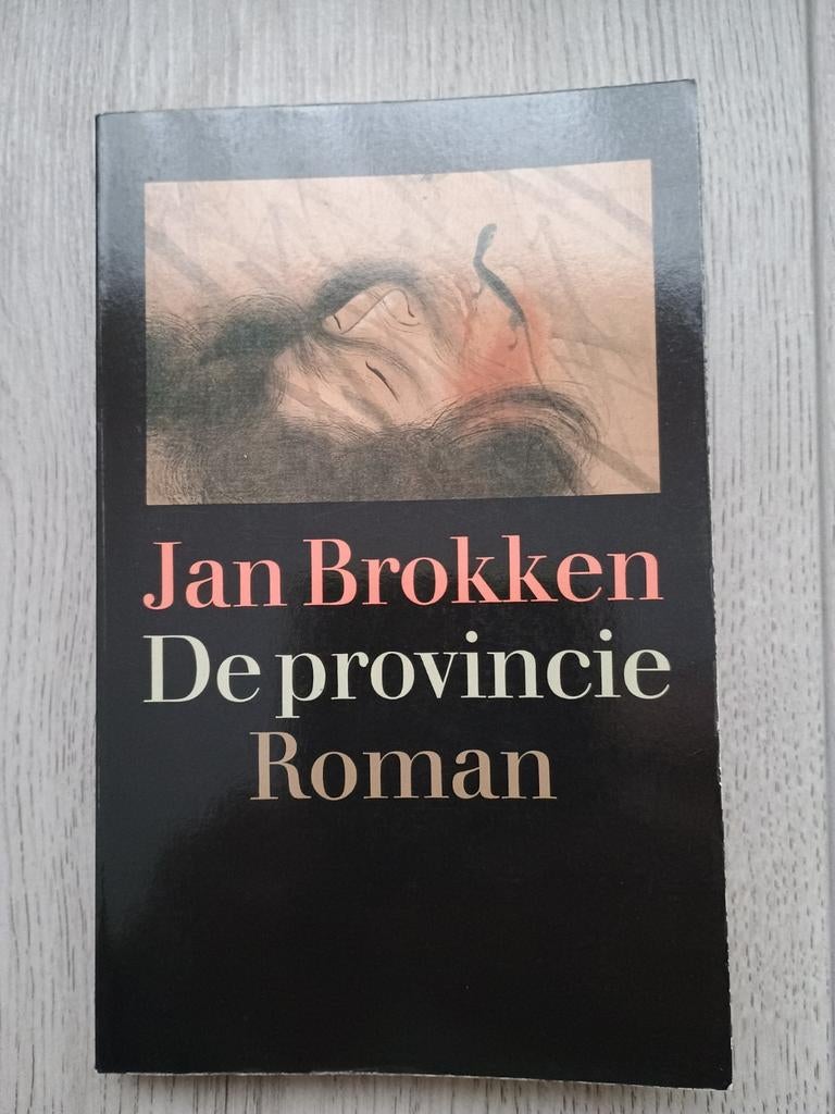 De provincie - Jan Brokken, Boeken, Ophalen of Verzenden