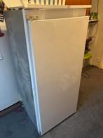 Inbouw koelkast hoogte 121,5 breedte 54,5, Ophalen, 120 tot 140 cm, Minder dan 75 liter, 45 tot 60 cm