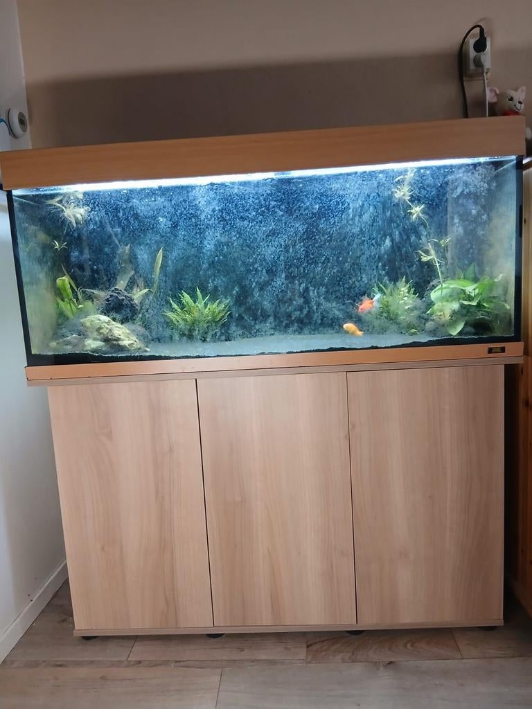 Aquarium juwel rio 240, Ophalen, Gebruikt, Leeg aquarium