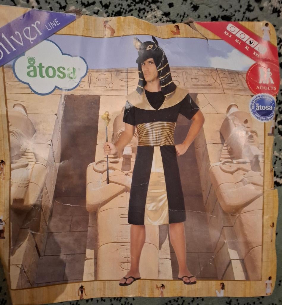 Carnaval kleding, Farao/Egyptisch pak, maat XL, Kleding | Heren, Ophalen of Verzenden, Zo goed als nieuw, Maat 56/58 (XL), Kleding