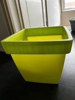 Plantenbak limegroen vierkant (35,5cm hoog, vierkant 38cm), Ophalen, Kunststof, Minder dan 60 cm, Vierkant
