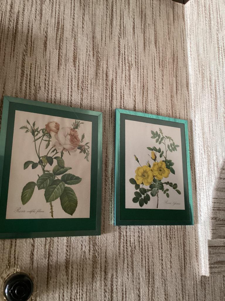 Vintage schilderijtjes met Bloemen - Rosa- 4x, Antiek en Kunst, Curiosa en Brocante, Ophalen of Verzenden