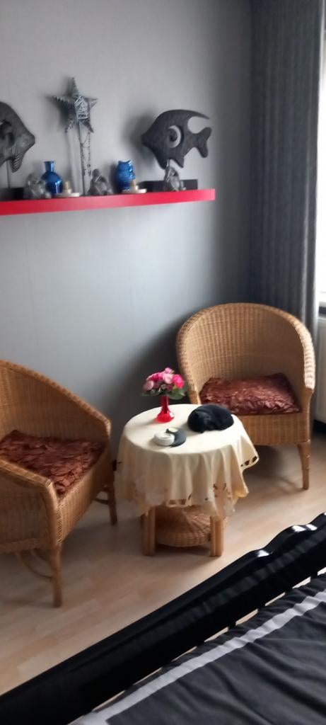 Rotansetje, Huis en Inrichting, Ophalen, Eenpersoons