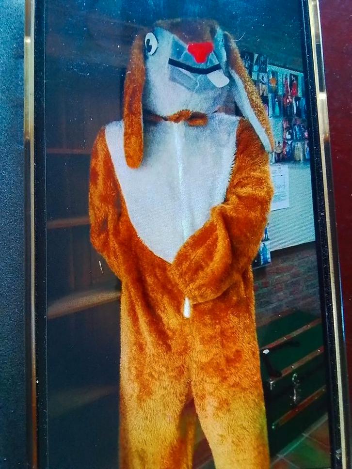 Paashaaspak huren 13,50 en 17,50, Kleding | Dames, Carnavalskleding en Feestkleding, Zo goed als nieuw, Kleding, Pasen, Maat 46/48 (XL) of groter