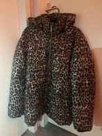 Michael Kors jas met panterprint maat M/L, Kleding | Dames, Jassen | Winter, Ophalen of Verzenden, Zo goed als nieuw, Maat 38/40 (M)