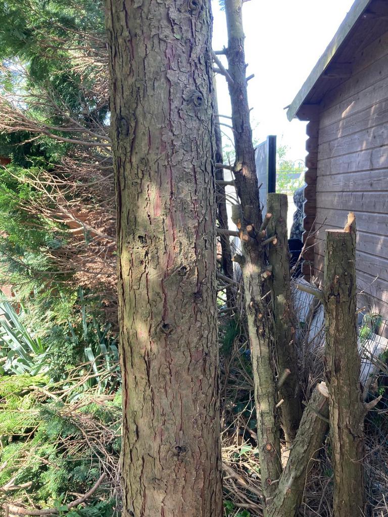 Haardhout /stamhout ophalen in Arnhem 3,5 kuub, Tuin en Terras, Haardhout, 3 tot 6 m³, Ophalen, Overige houtsoorten, Blokken