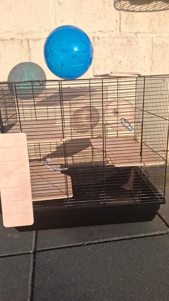 Hamster kooi of knaagdieren van af maandag op te halen, Kooi, Minder dan 75 cm, Muis, Ophalen