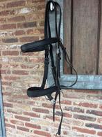 Bitloos kaakgekruist hoofdstel maat cob/ full, Dieren en Toebehoren, Ophalen of Verzenden, Gebruikt, Dressuur
