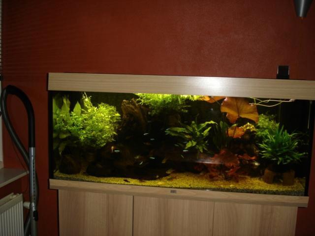 juwel rio 240, Dieren en Toebehoren, Vissen | Aquaria en Toebehoren, Nieuw, Leeg aquarium, Ophalen