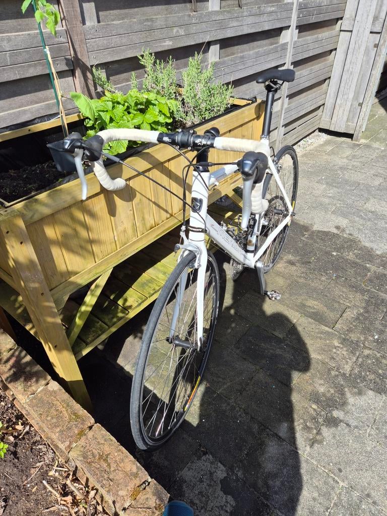 Merida Road Racefiets - Wit, Staal, Meer dan 20 versnellingen, Ophalen, Overige merken