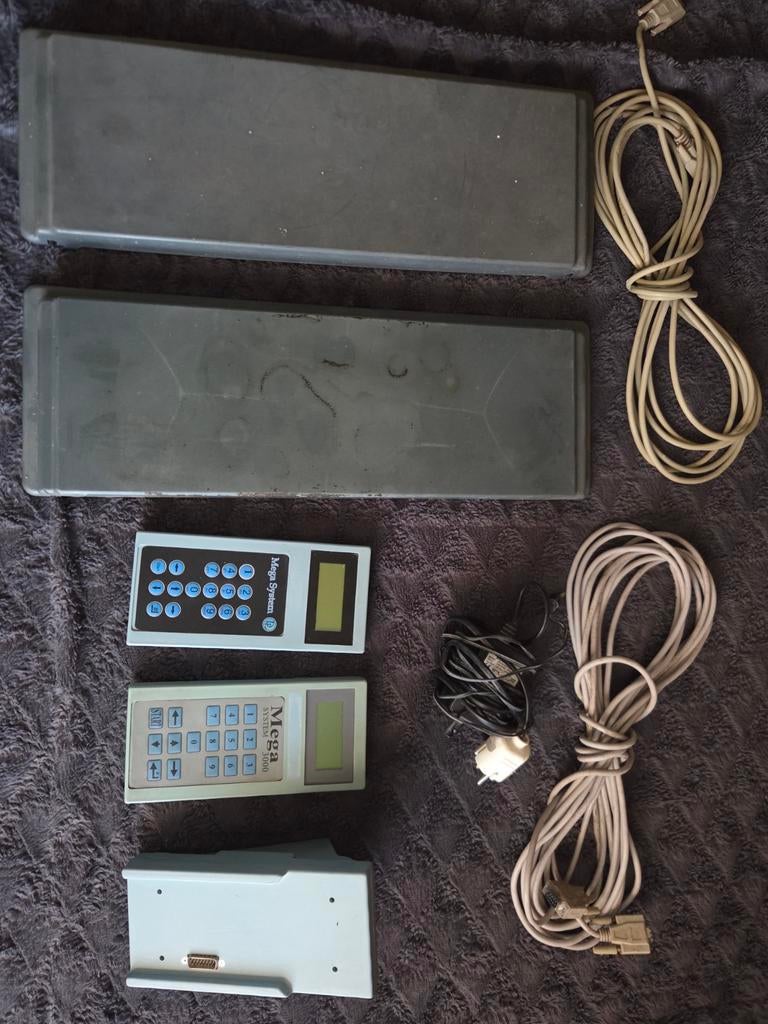 Mega klok systeem, Meerdere dieren, Postduif