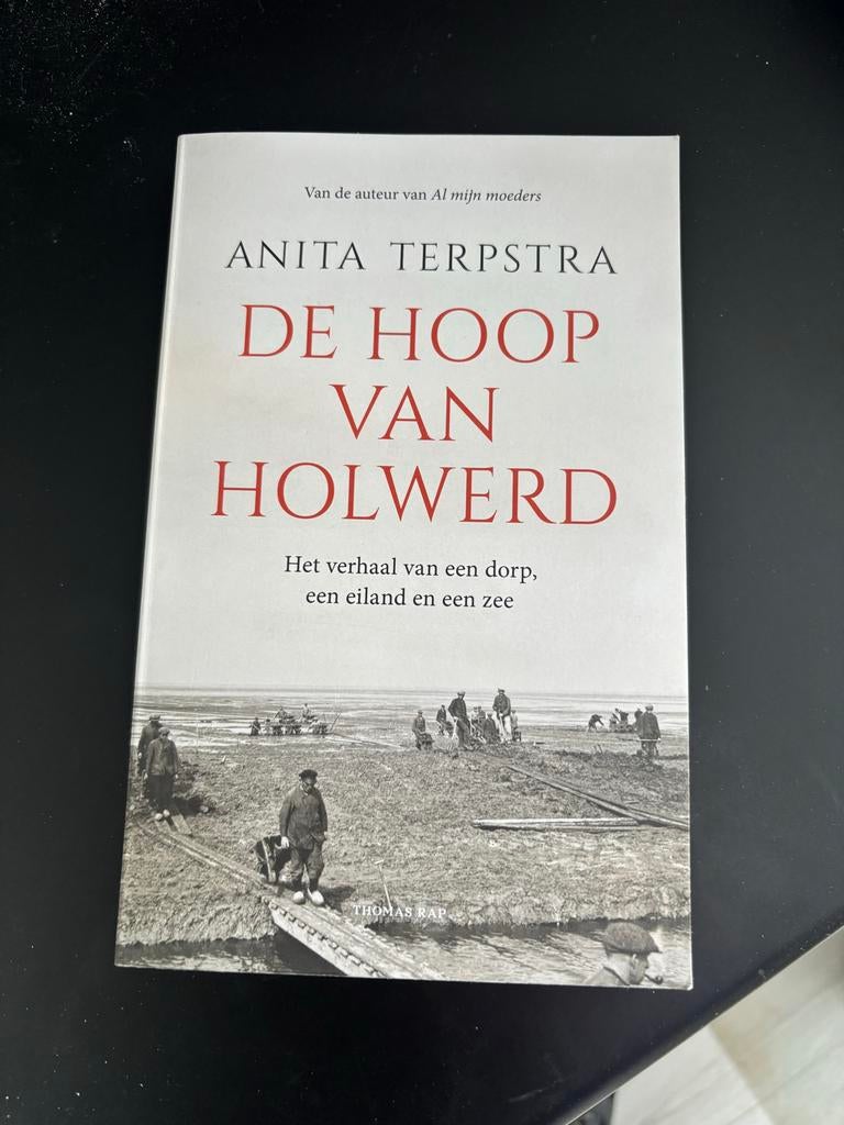 De Hoop van Holwerd - Anita Terpstra, Ophalen of Verzenden, Nieuw, Nederland