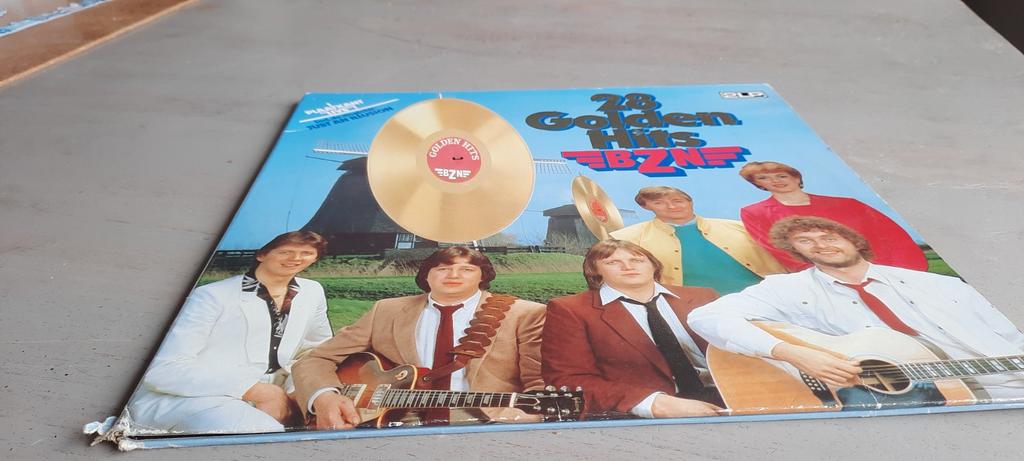 Dubbel elpee BZN, Ophalen of Verzenden, Gebruikt, 12 inch