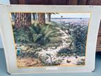 Schoolplaat 'Op de heide' - M.A. Koekkoek, Antiek en Kunst, Ophalen of Verzenden, Natuur en Biologie