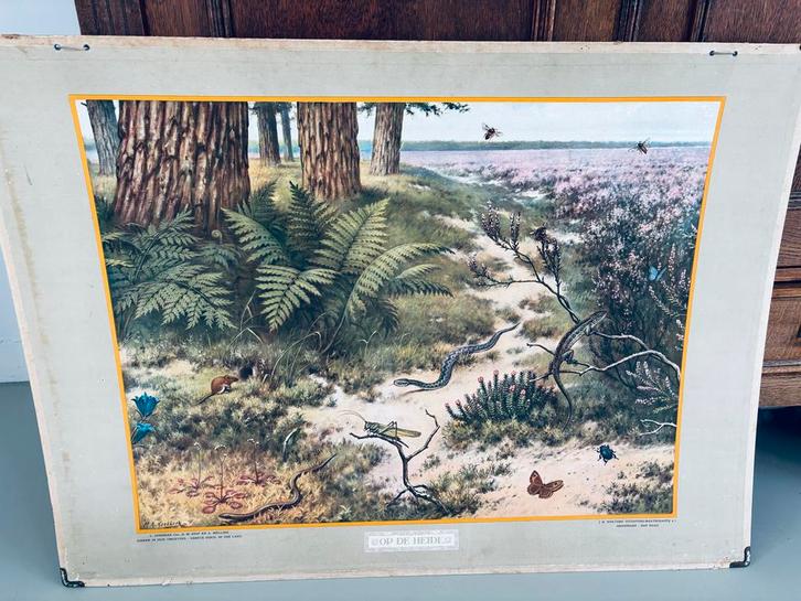 Schoolplaat 'Op de heide' - M.A. Koekkoek, Antiek en Kunst, Antiek | Schoolplaten, Natuur en Biologie, Ophalen of Verzenden