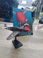 Kitty Hawk Flying Tiger vliegtuig plus schilderij, Ophalen of Verzenden