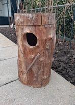 broedblok, Meerdere dieren, Parkiet