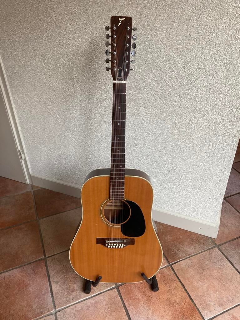 12 snarige gitaar Toyata, Muziek en Instrumenten, Ophalen, Gebruikt, Western- of Steelstringgitaar, 12-snarig