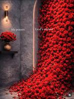 Amsterdam: jij parkeervergunning, ik jouw oude auto, Particulier, Te koop