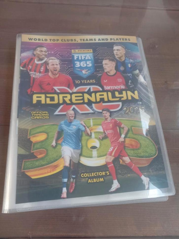 Originele Panini voetbalplaatjes in map - complete collectie, Verzamelen, Sportartikelen en Voetbal, Zo goed als nieuw, Poster, Plaatje of Sticker
