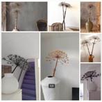 Gedroogde berenklauwen - naturel en zwart, Huis en Inrichting, Woonaccessoires | Vazen, Ophalen