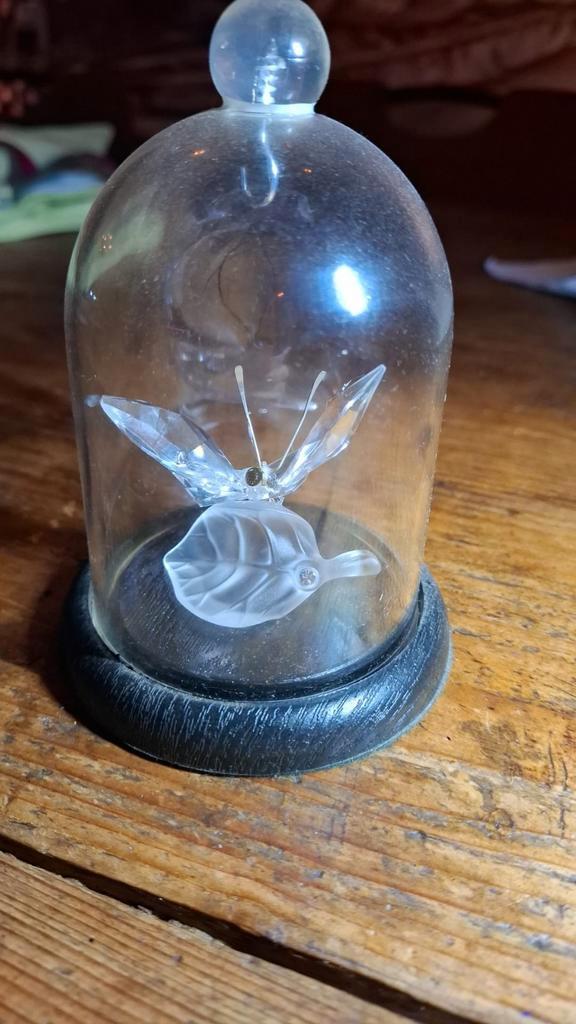 Hobbyiste gezocht, Hobby en Vrije tijd, Overige Hobby en Vrije tijd, Ophalen of Verzenden