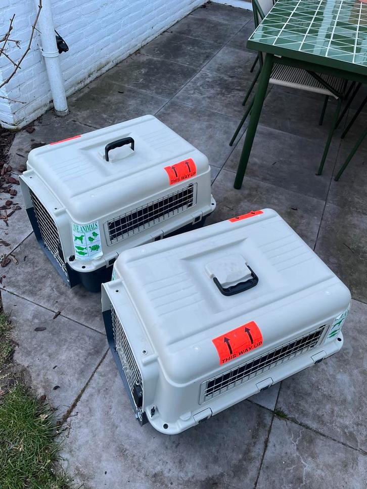 IATA Transportbox Kat/kleine Hond, Dieren en Toebehoren, Transportboxen, Zo goed als nieuw, Ophalen