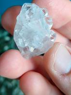 Heldere apofyliet, Ophalen of Verzenden