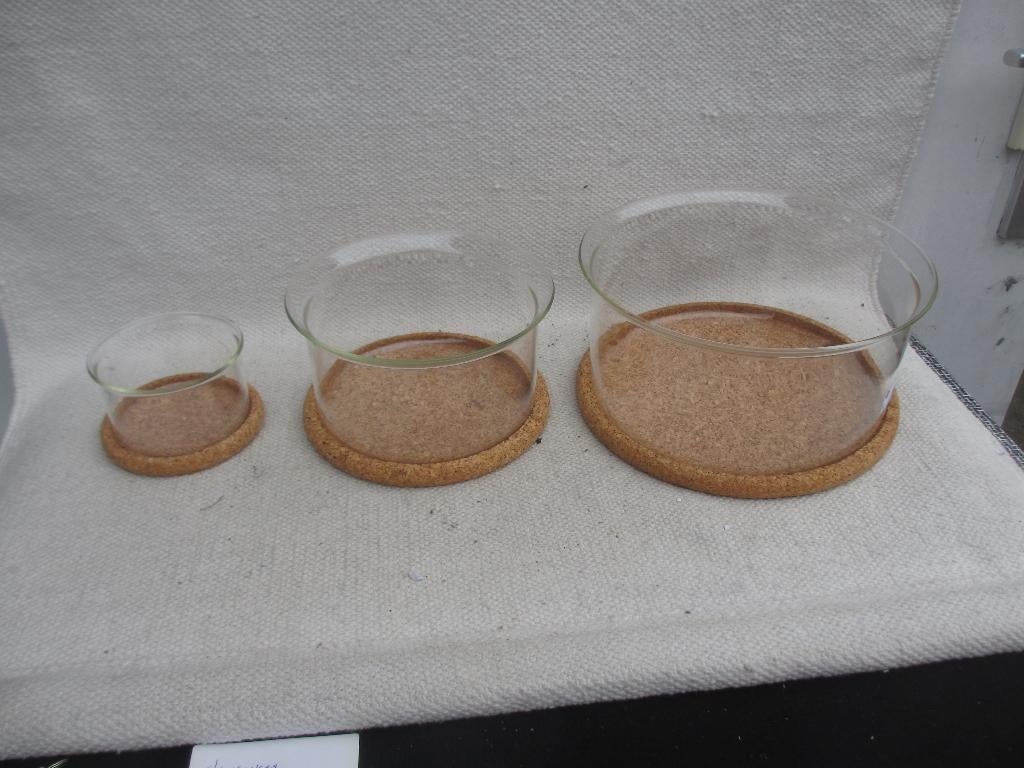 Bodum Hot Pot set [ 3 schalen], Bodum, Ophalen of Verzenden, Glas, Overige typen