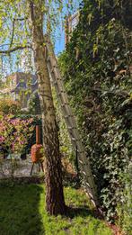 Altrex aluminium ladder AR 2065 (2 x 14), Ophalen, Gebruikt, Ladder, Opvouwbaar of Inschuifbaar