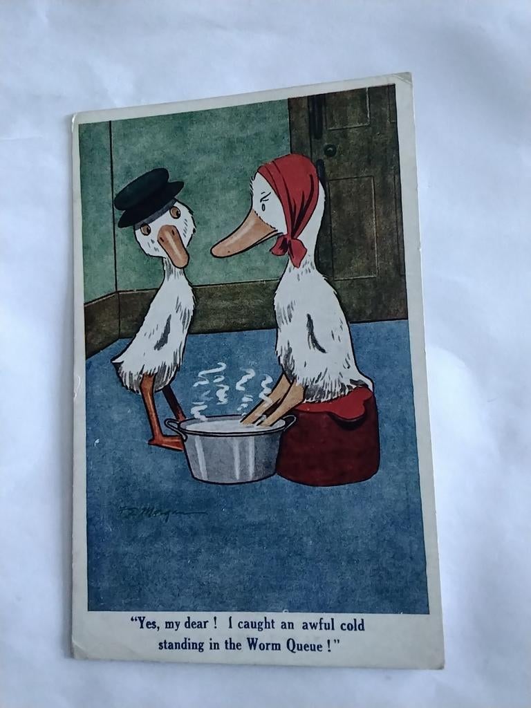 ZIEKE. EEND MET ZIJN POOTJES IN EEN BADJE WARM WATER, Ophalen of Verzenden, Voor 1920