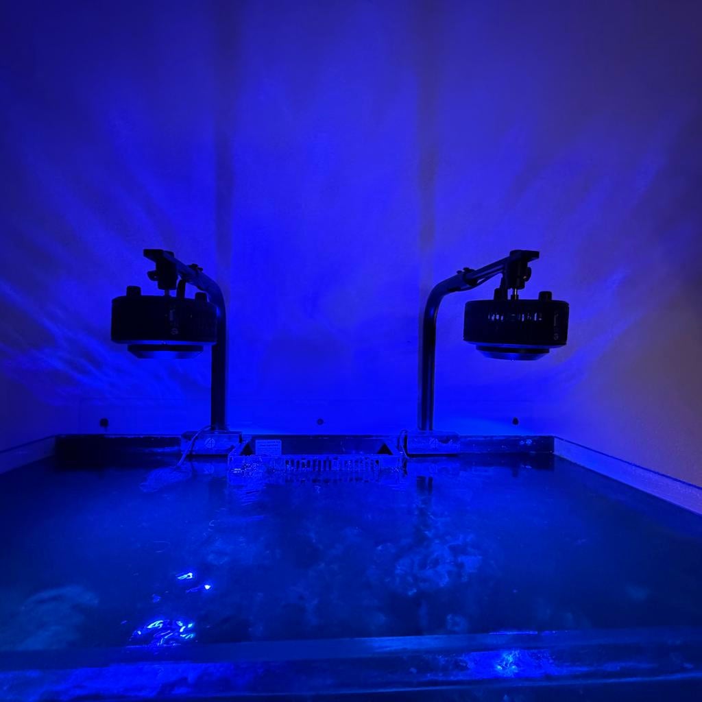 Red sea reefer 250 excl. Inhoud incl. toebehoren, Ophalen, Leeg aquarium