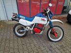 Honda XL 600 LM 1985 project, Honda, Piet soerstraat, Bedrijf, Enduro