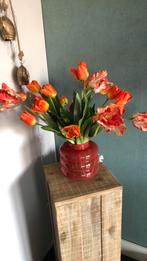 Tulpen, Ophalen of Verzenden, Nieuw