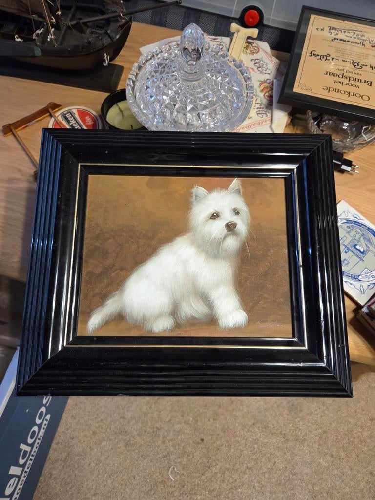 Schilderij West Highland White Terriër in lijst, Ophalen of Verzenden