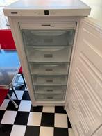 Liebherr no frost vriezer met 6 lades A++, Ophalen, Zo goed als nieuw, 60 tot 90 cm, 140 tot 160 cm