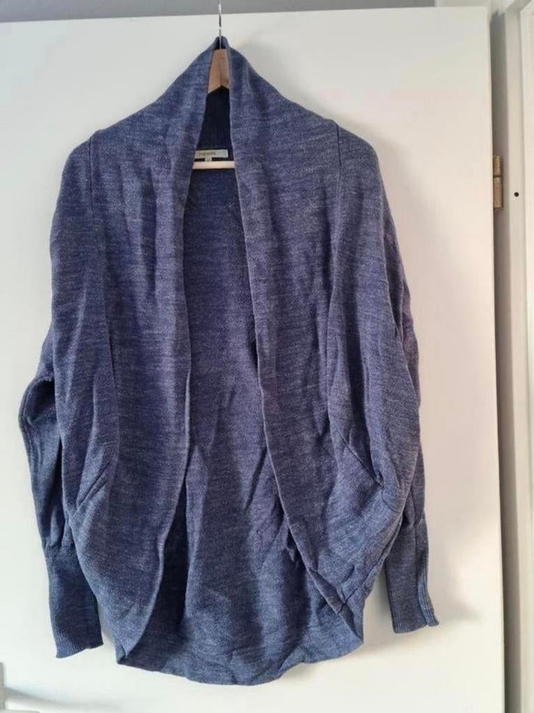 Noppies positievest vest blauw mt xs zgan, Kleding | Dames, Positiekleding, Blauw, Trui of Vest, Ophalen of Verzenden, Zo goed als nieuw