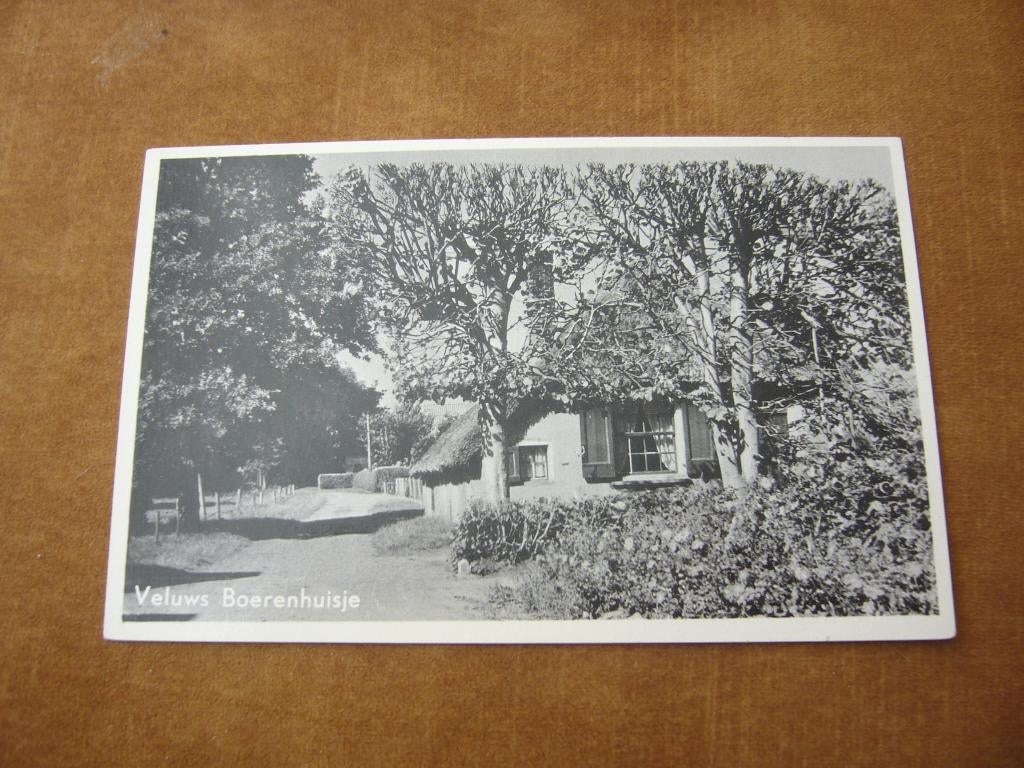 VELUWE  =  VELUWS BOERENHUISJE, Ophalen of Verzenden, 1940 tot 1960, Ongelopen, Gelderland