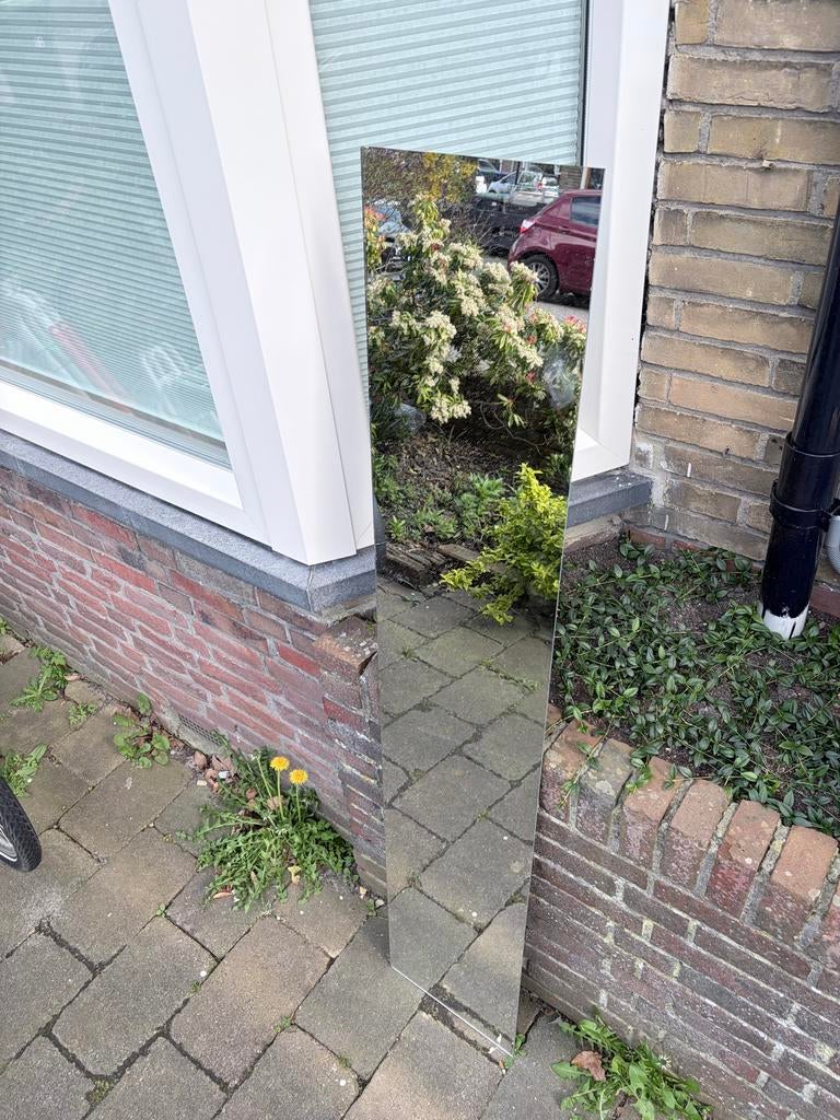 Spiegel, ongeveer 120x30, Huis en Inrichting, Woonaccessoires | Spiegels, Ophalen, Minder dan 50 cm, Gebruikt, 100 tot 150 cm