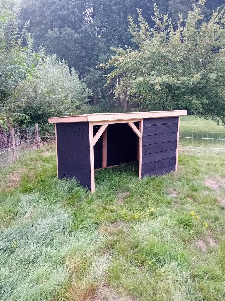 Schuilstal laag, voor schaap, geit, pony. Douglas hout, Meerdere dieren, Schaap