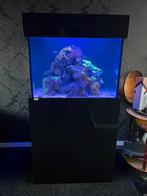 Aquaja Diamond line 275 compleet zoutwater aquarium, Dieren en Toebehoren, Vissen | Aquaria en Toebehoren, Ophalen, Zo goed als nieuw