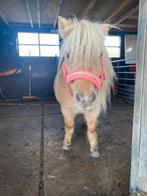 Verzorgster gezocht, Ophalen of Verzenden, Zo goed als nieuw