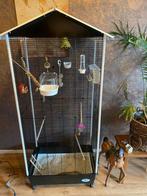 2 jonge forpussen met vogelkooi, Dieren en Toebehoren, Ophalen of Verzenden, Zo goed als nieuw, Metaal, Vogelkooi