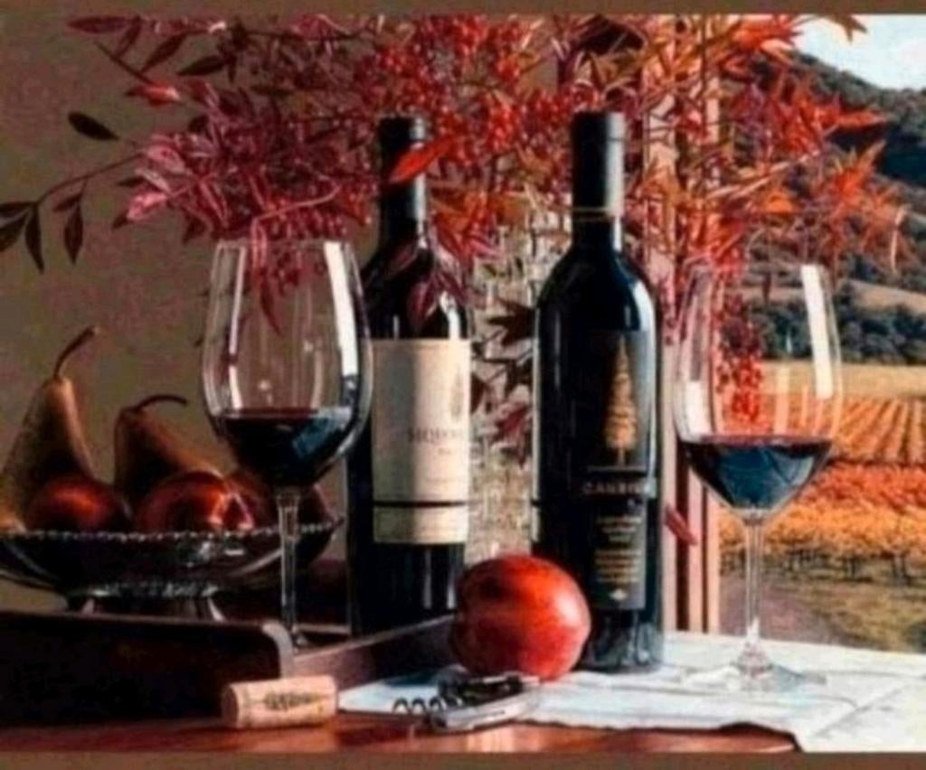 Diamond Painting 30x40. Nieuw - Stilleven met Wijn, Ophalen of Verzenden, Nieuw