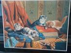 schilderij spelende kittens, katten gesigneerd groot, Ophalen